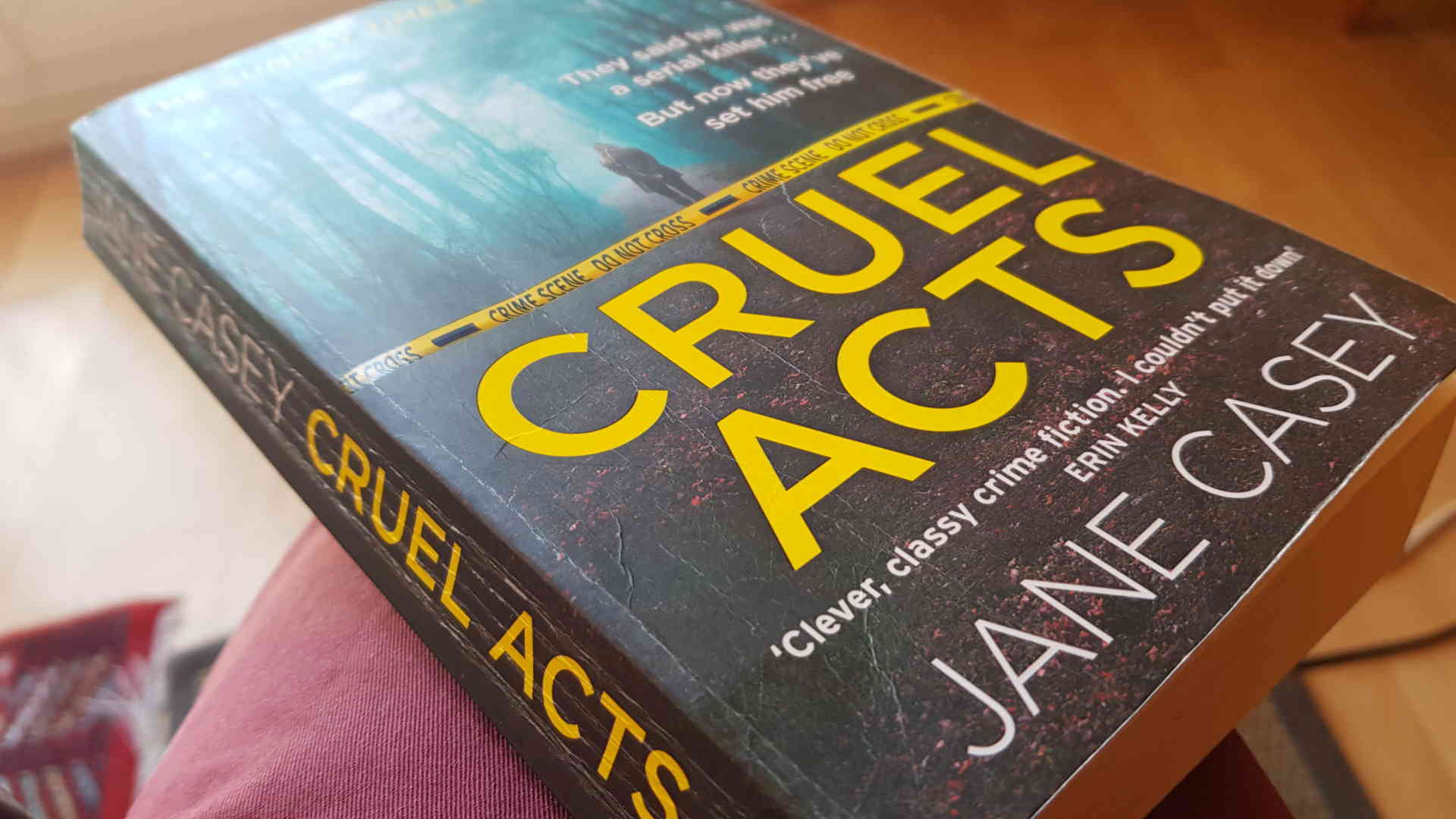 Cruel Acts, av Jane Casey