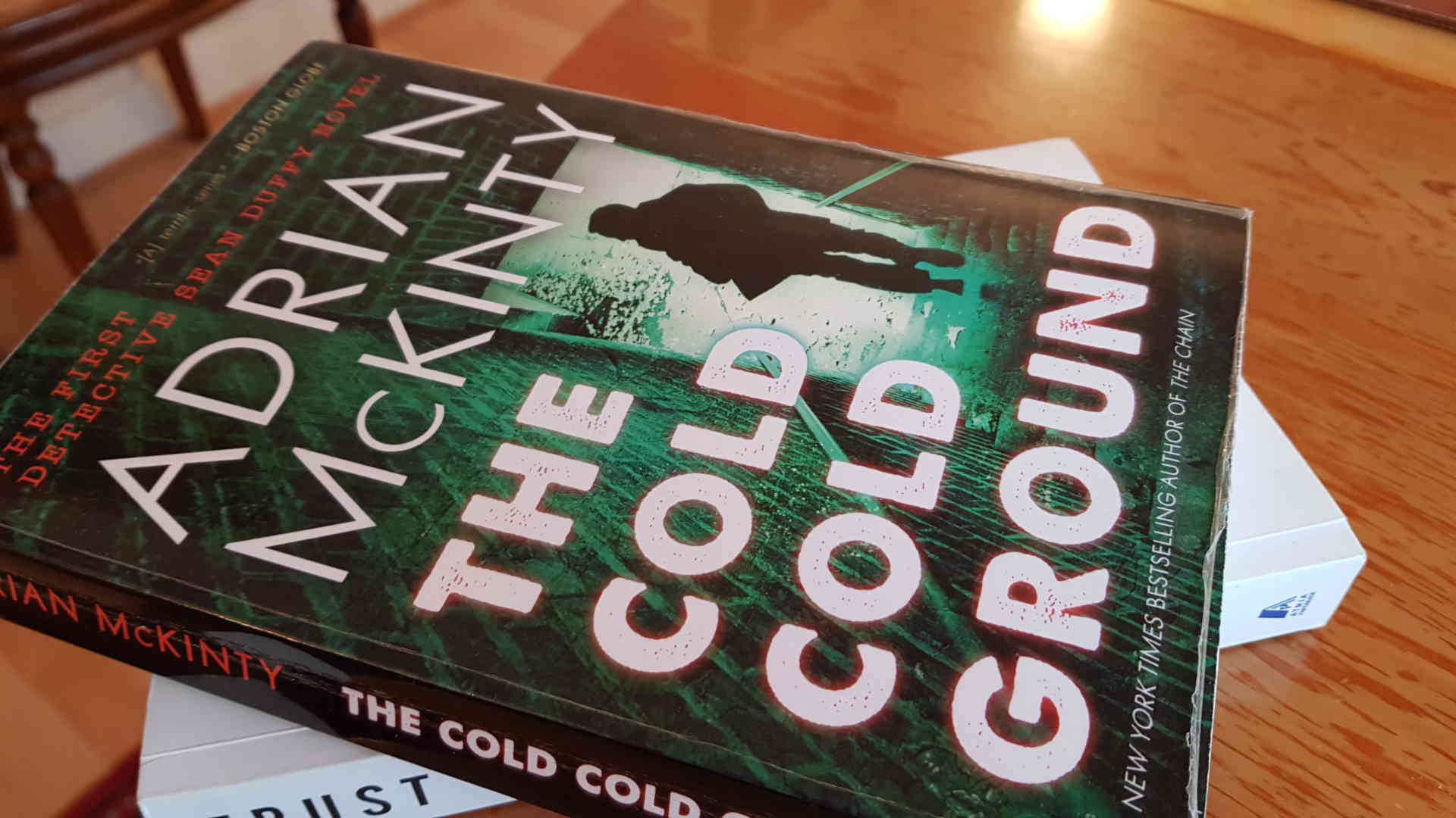 The Cold Cold Ground, av Adrian McKinty